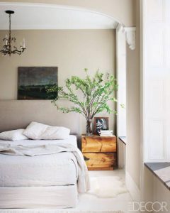 Paint Color consultation
